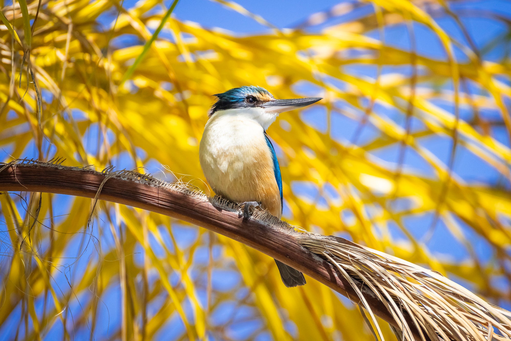 ESA Spring Photo Comp winner Colin Wimbridge with a Nikon Z30 Kit